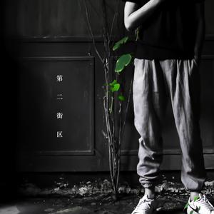 肥女巨肥大码胖女人AV
