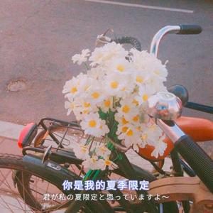 肥女巨肥大码胖女人AV
