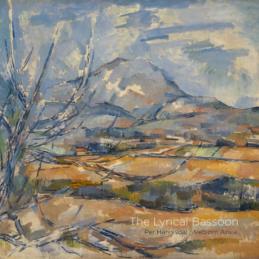 肥女巨肥大码胖女人AV
